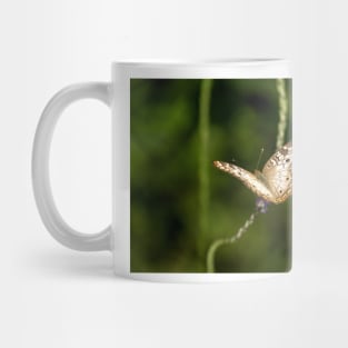 oli butterfly 1 Mug